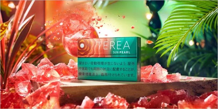 テリア・サン・パール